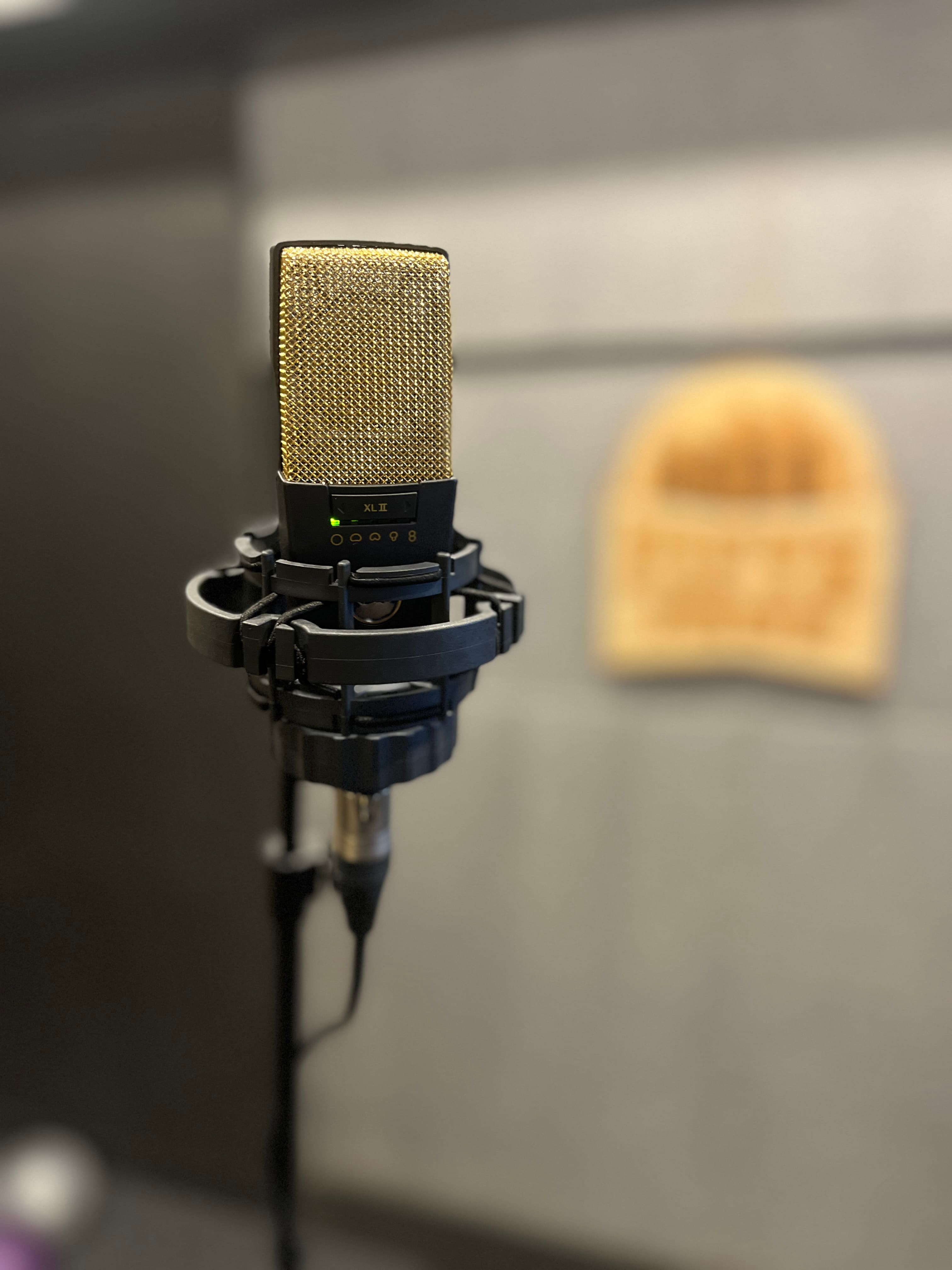 Studio condenser mic and grey acoustic panels